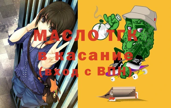 2c-b Инсар