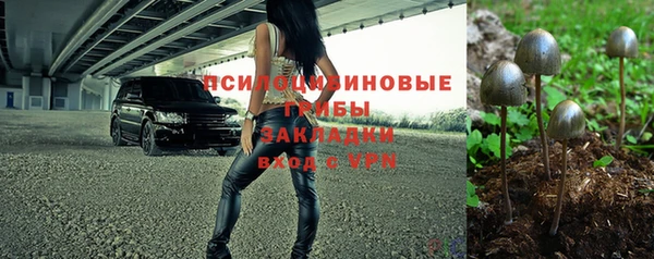 spice Пролетарск