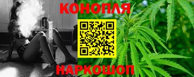 индика Будённовск