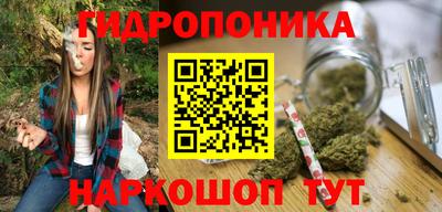 индика Будённовск