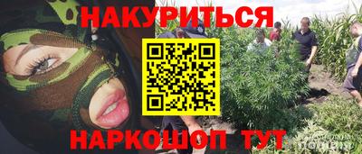 сатива Бузулук