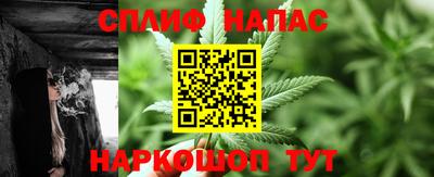 индика Будённовск