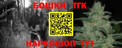 индика Будённовск