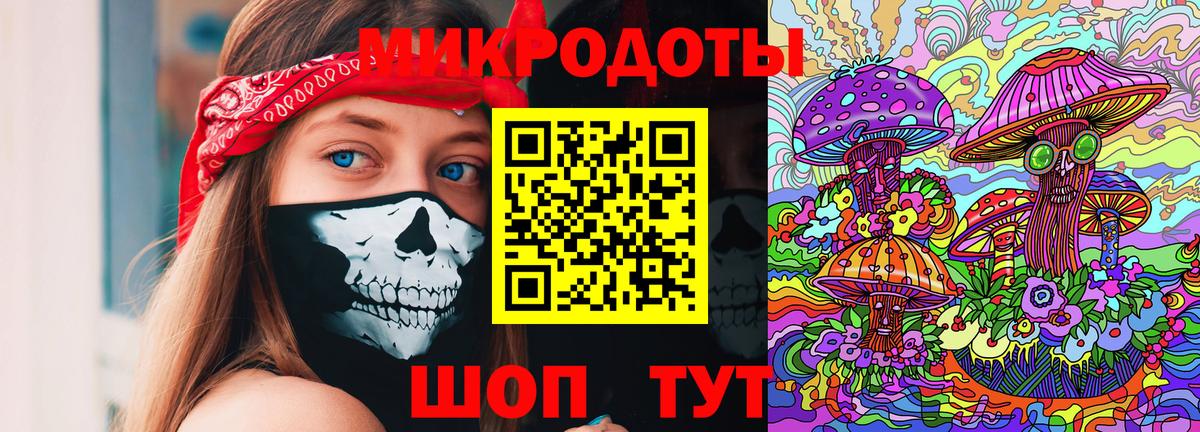 Галлюциногенные грибы Psilocybine cubensis  Курчатов  Галлюциногенные грибы MAGIC MUSHROOMS 