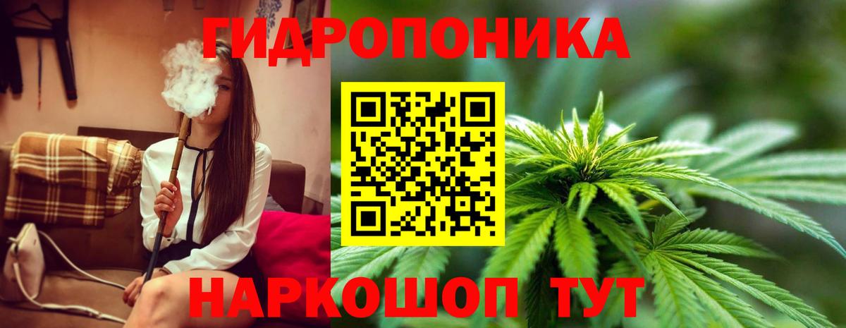 Шишки марихуана гибрид Курчатов